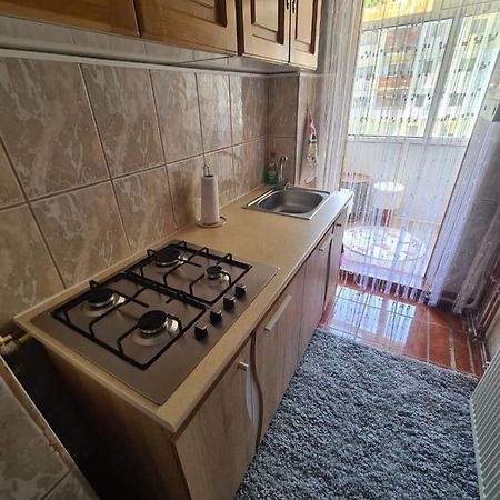 Garsoniera Slanic-Moldova Apartment Exterior photo