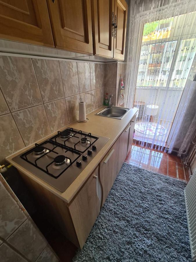 Garsoniera Slanic-Moldova Apartment Exterior photo